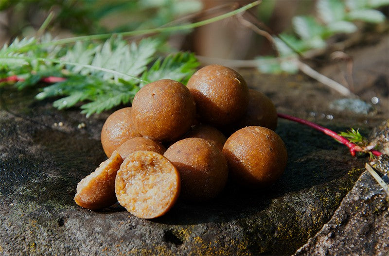 Carp Killers Banana Fisch Boilies 2,5kg (16mm / 20mm /24mm)