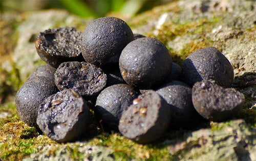 Carp Killers Boilies Black Hash 2,5kg (16mm / 20mm)