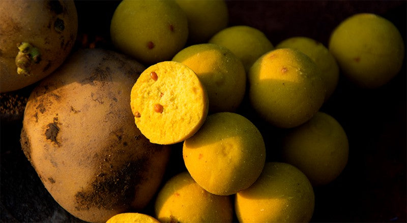 Carp Killers Old Potato Kartoffel Boilies 2,5kg (16mm / 20mm)